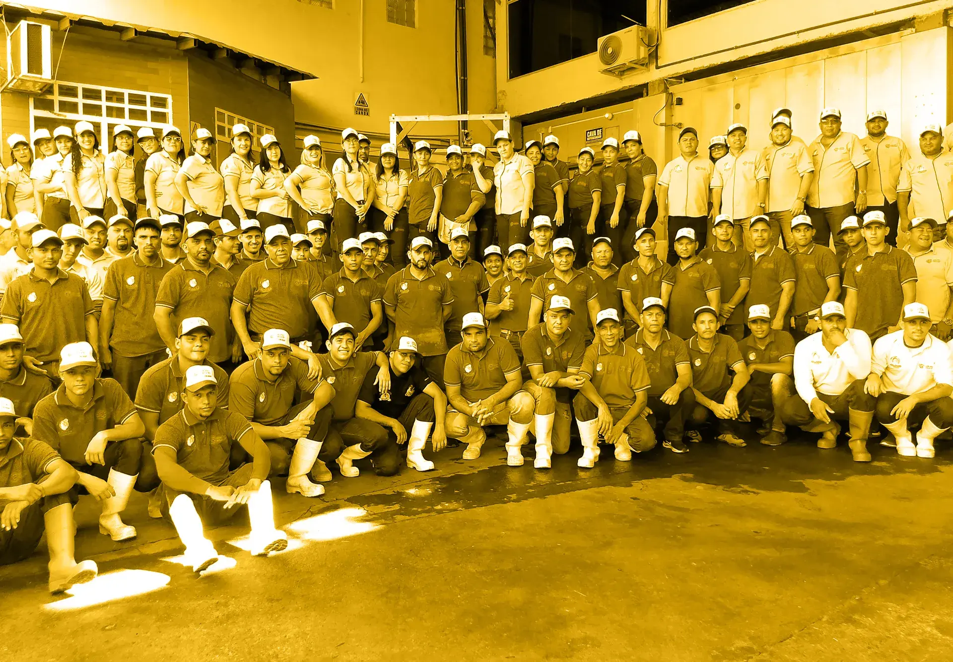trabajadores gilgod